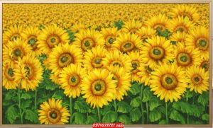 tranh hoa huong duong