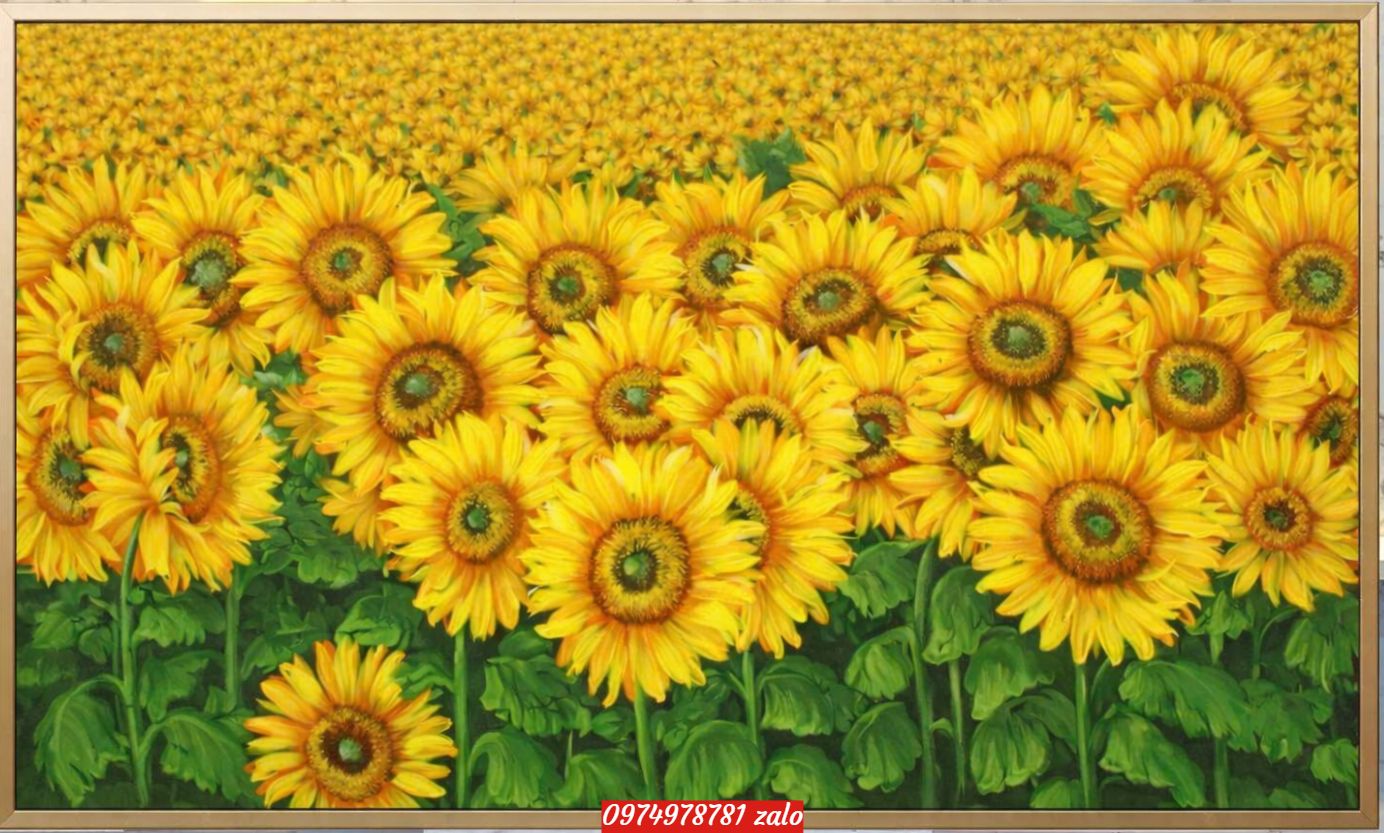 tranh hoa huong duong